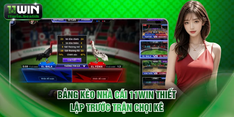Đá Gà Thomo Là Gì? Đấu Trường Sinh Tử Chỉ Có Tại 11WIN 3 Bảng kèo nhà cái 11WIN thiết lập trước trận chọi kê