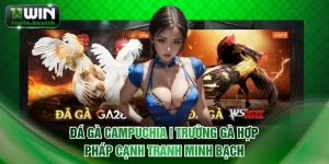 Đá gà Campuchia