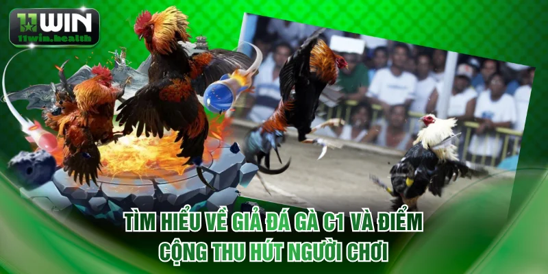 Đá Gà C1 Trực Tiếp Thomo - Xem Full HD Miễn Phí trên 11WIN 1 Tìm hiểu về giả đá gà C1 và điểm cộng thu hút người chơi